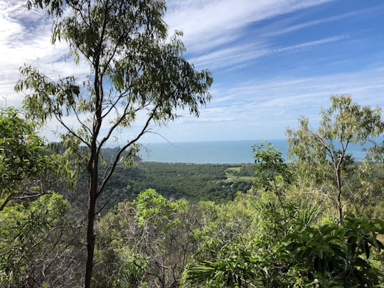 Magnetic Island National Park things to do in Alligator Creek