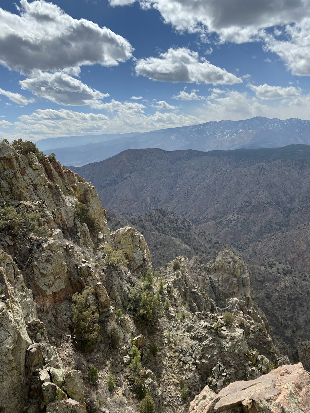 green trees on brown rocky mountain under blue sky during daytime