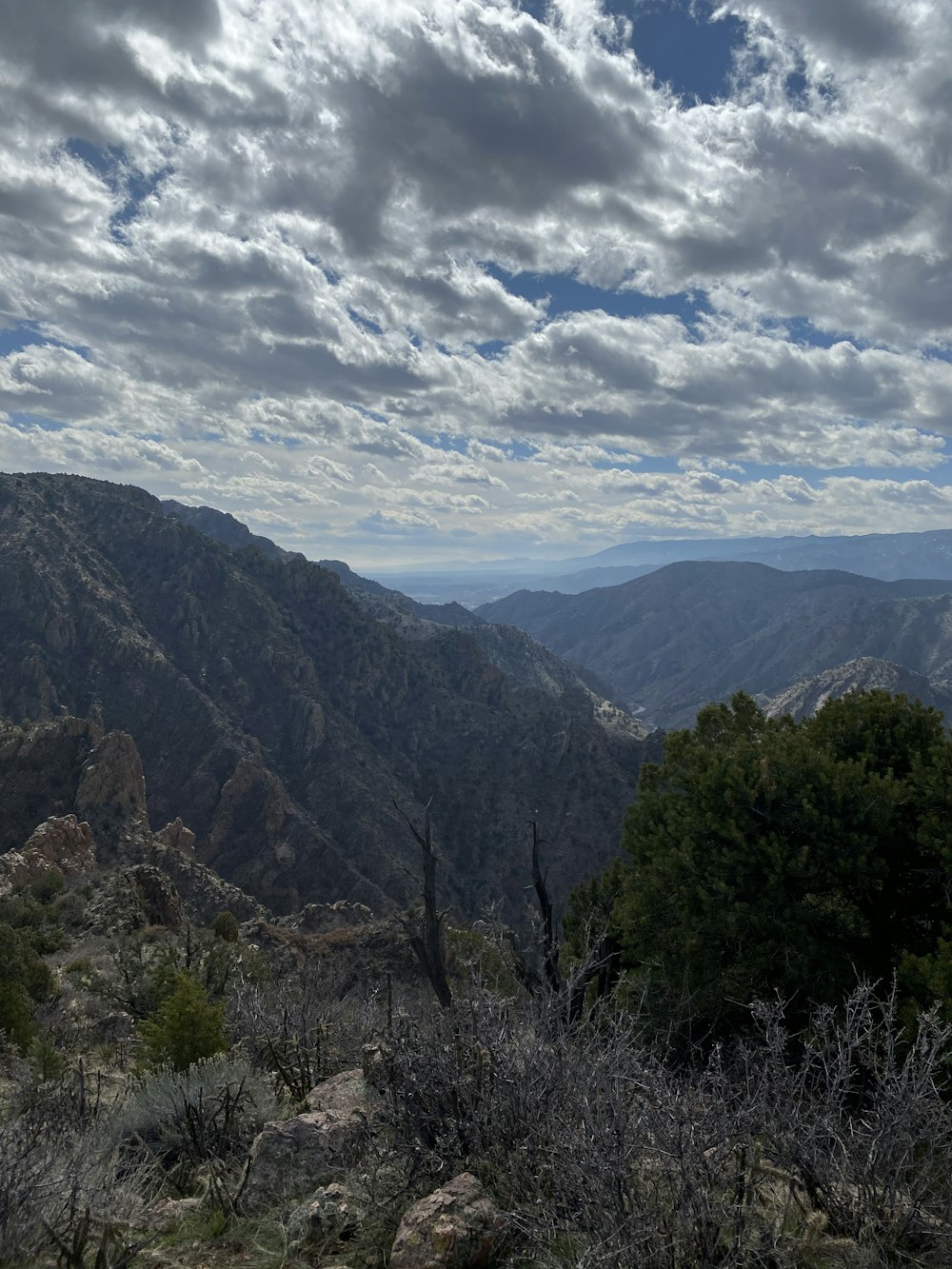 green trees on mountain under white clouds and blue sky during daytime