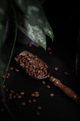 A brass scoop filled with roasted coffee beans rests on a dark surface, surrounded by scattered beans. A large green leaf encroaches from the top, partially shadowing the scene.
