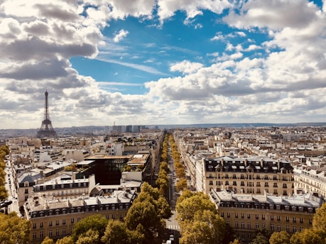 Aerial view of a cityscape with the Eiffel Tower prominently visible on the left. The skyline features a mix of historic and modern buildings with rows of trees lining the streets. The sky is partly cloudy and blue, adding a vibrant backdrop to the urban setting.