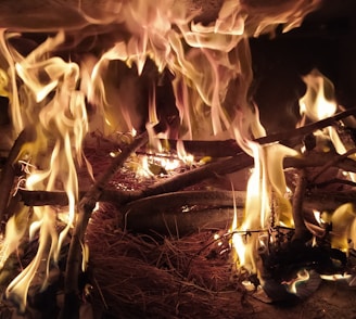 Flames dance over a pile of twigs and dry leaves, creating an intense and dynamic scene. The fire emits a warm glow, with tongues of flame reaching upwards amidst the darkened backdrop.