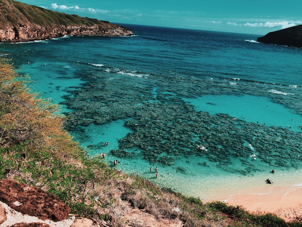 aerial view of green and brown mountain beside blue sea during daytime