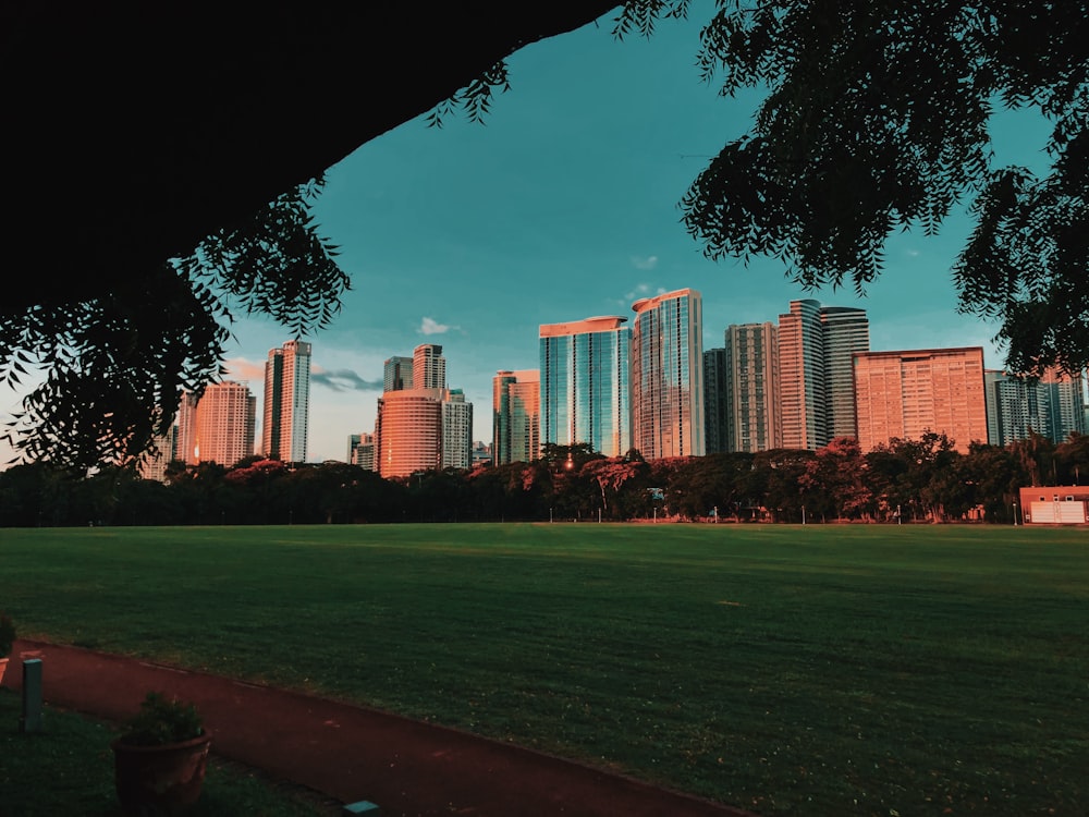 campo de grama verde perto de edifícios da cidade durante o dia