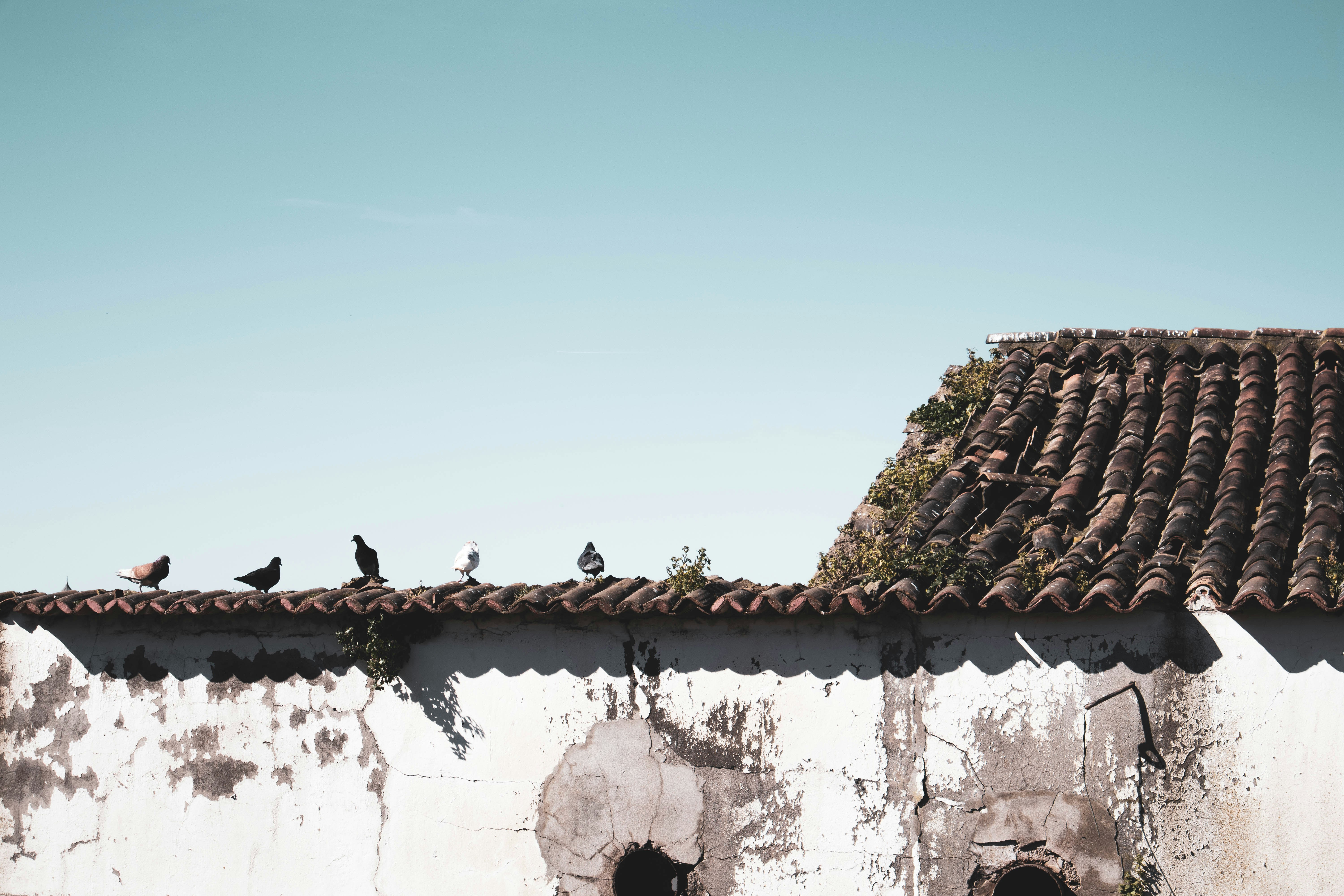 white concrete wall with brown roof