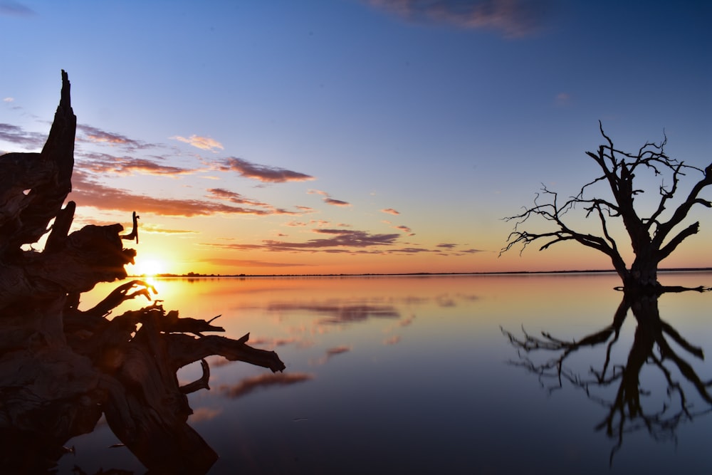 silhouette of man and woman sitting on rock near body of water during sunset