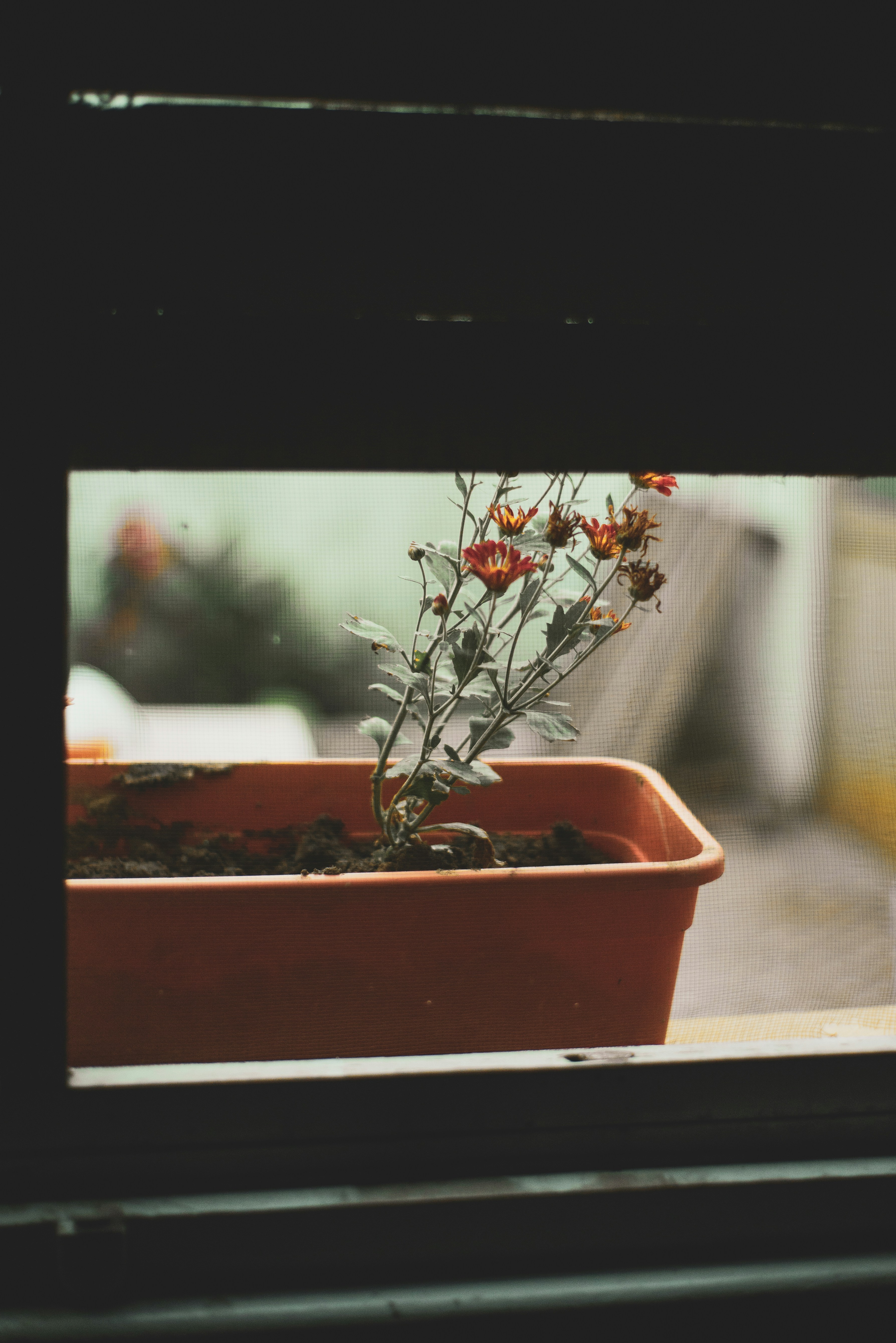 Photo by agustinfernandez