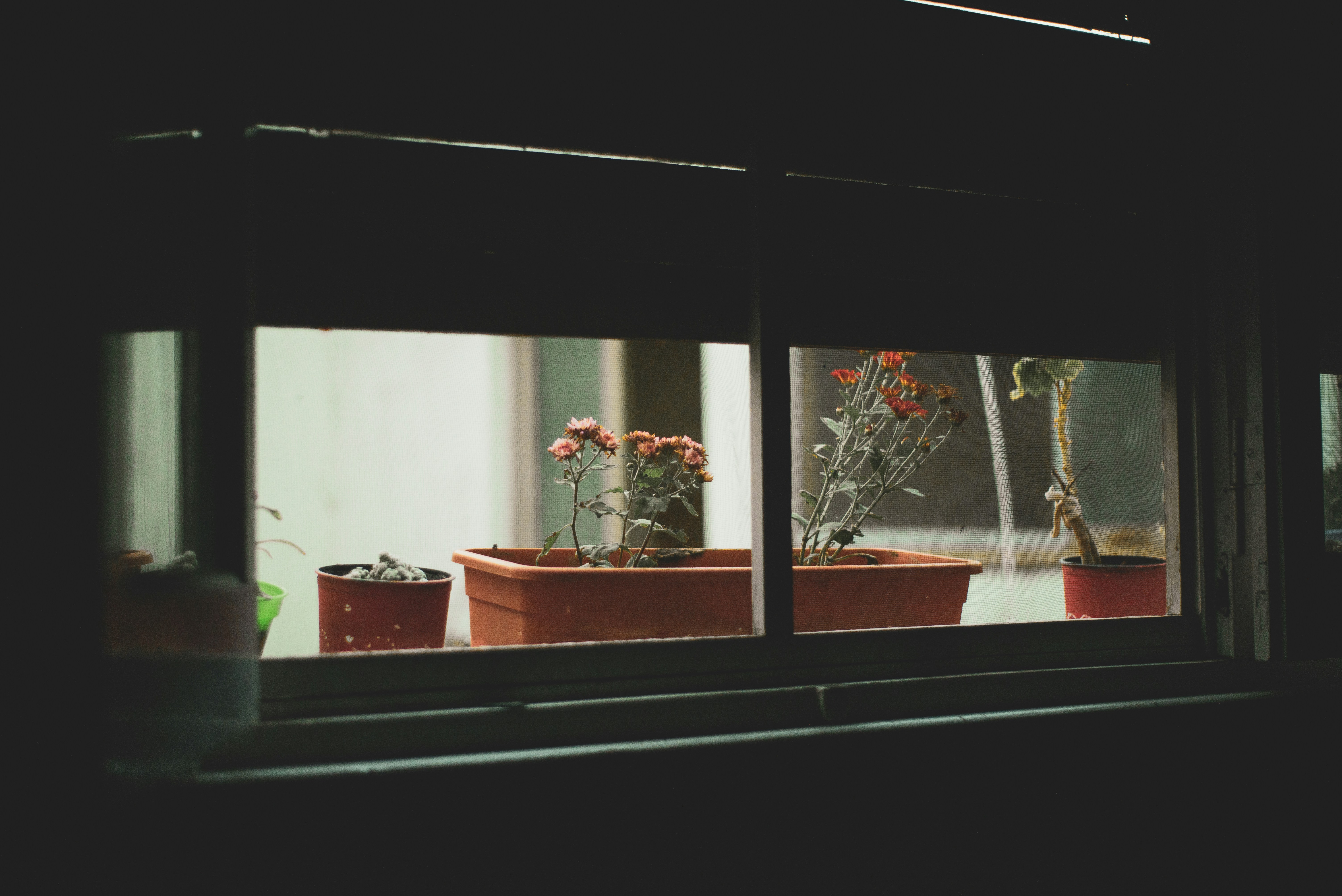 Photo by agustinfernandez