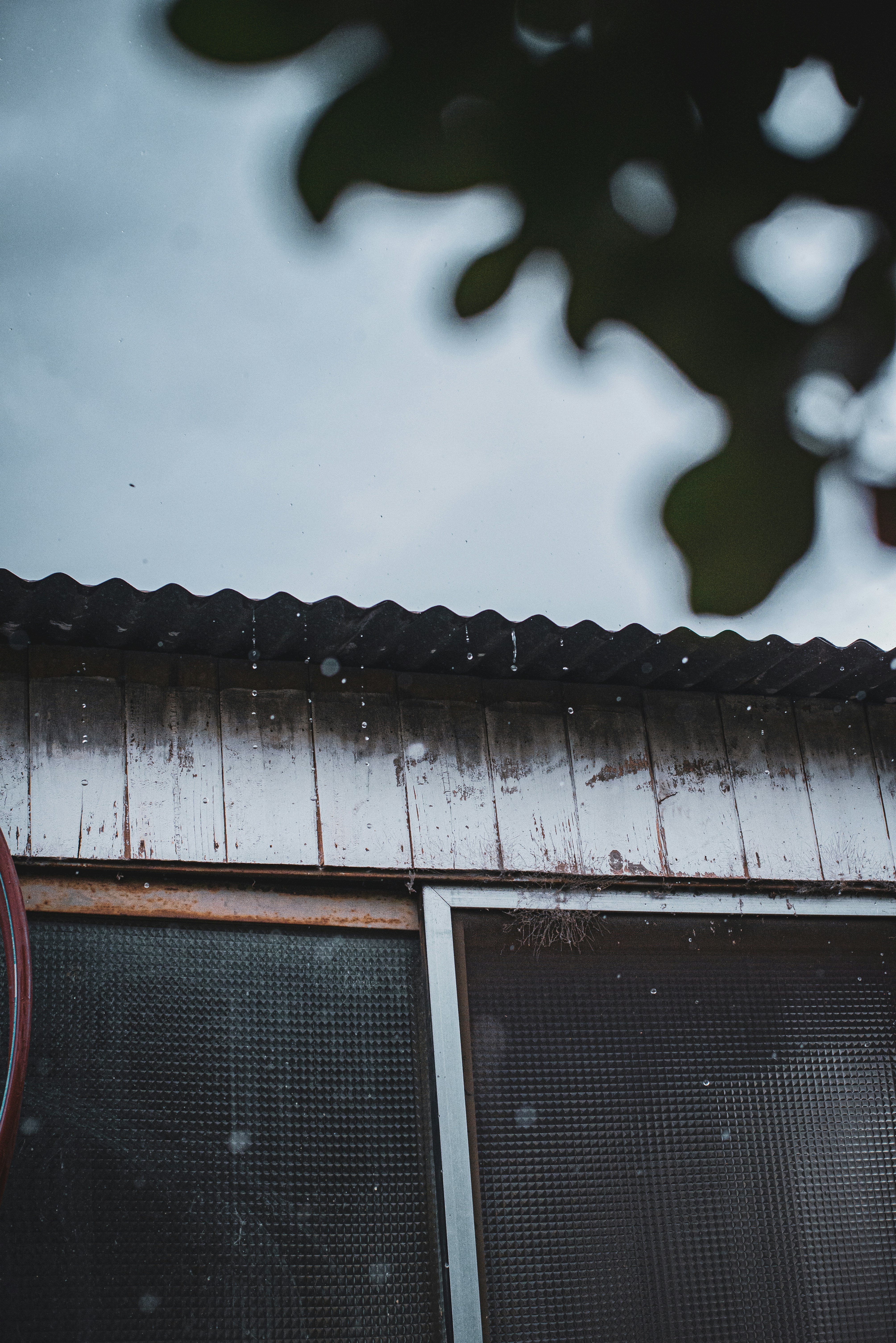 Photo by agustinfernandez