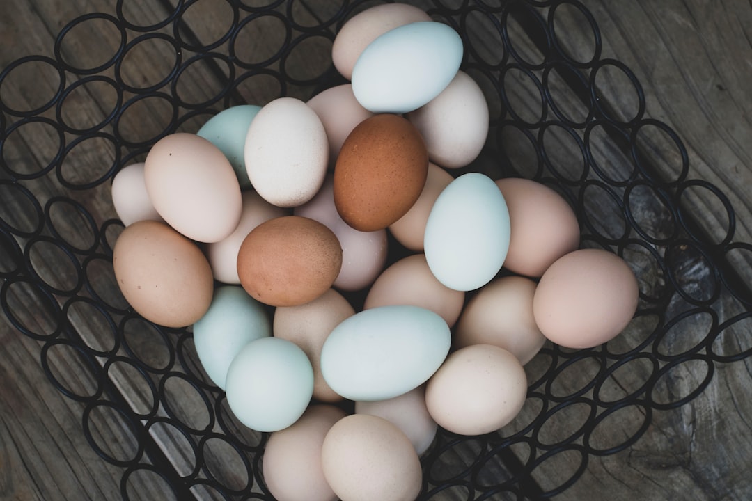 white and brown eggs on black metal basket