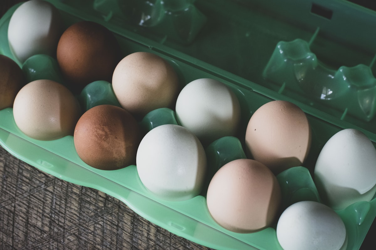 White eggs in a green carton representing the dramatic decline in egg prices across American grocery stores
