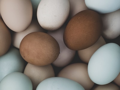 brown egg on white surface