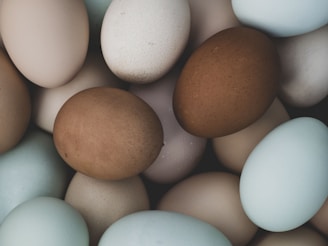 brown egg on white surface