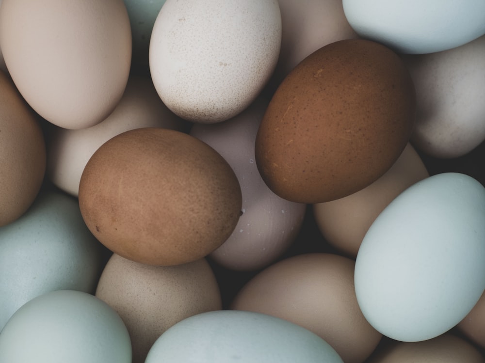 brown egg on white surface