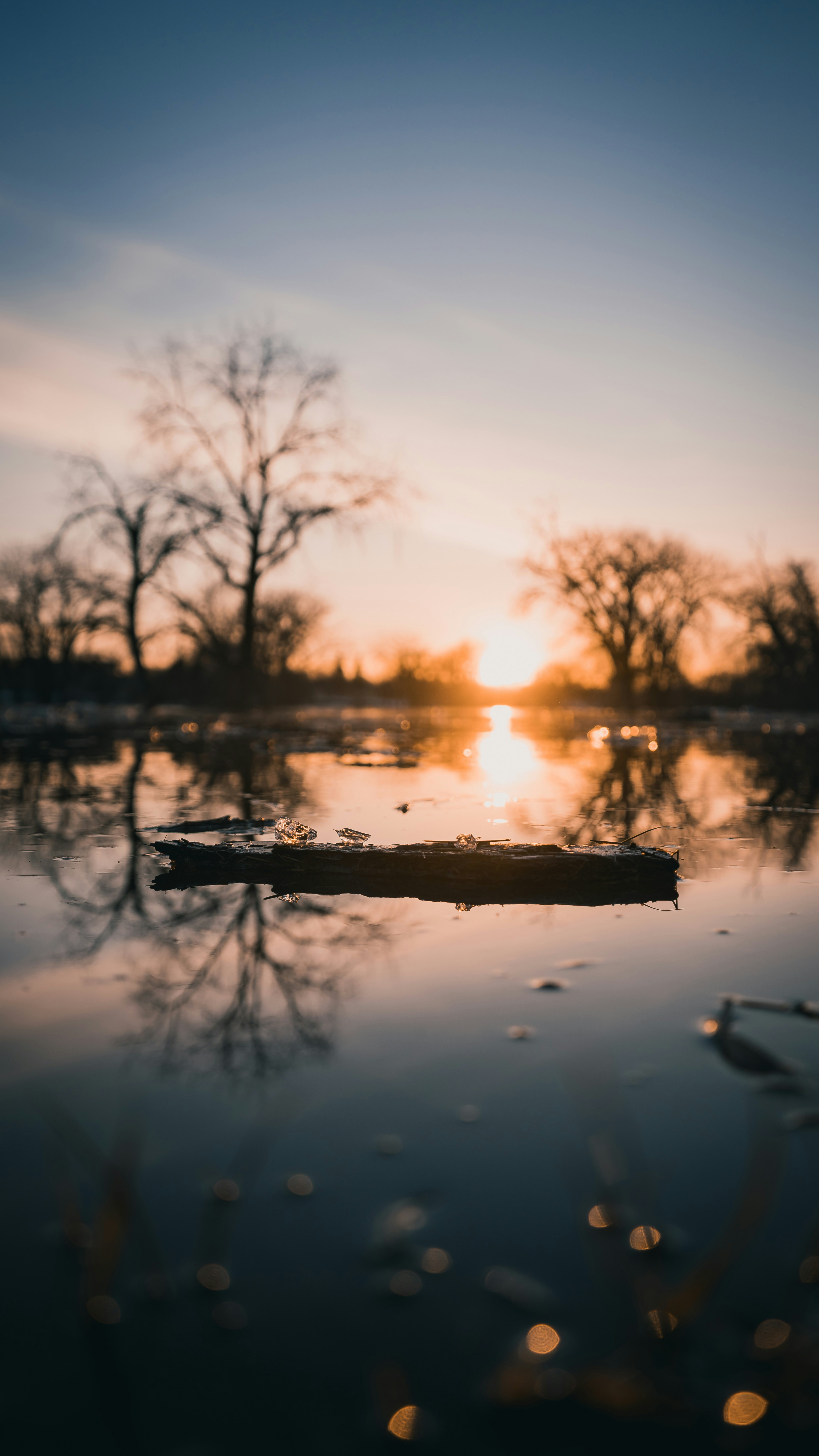 Photo by jasonbrojas