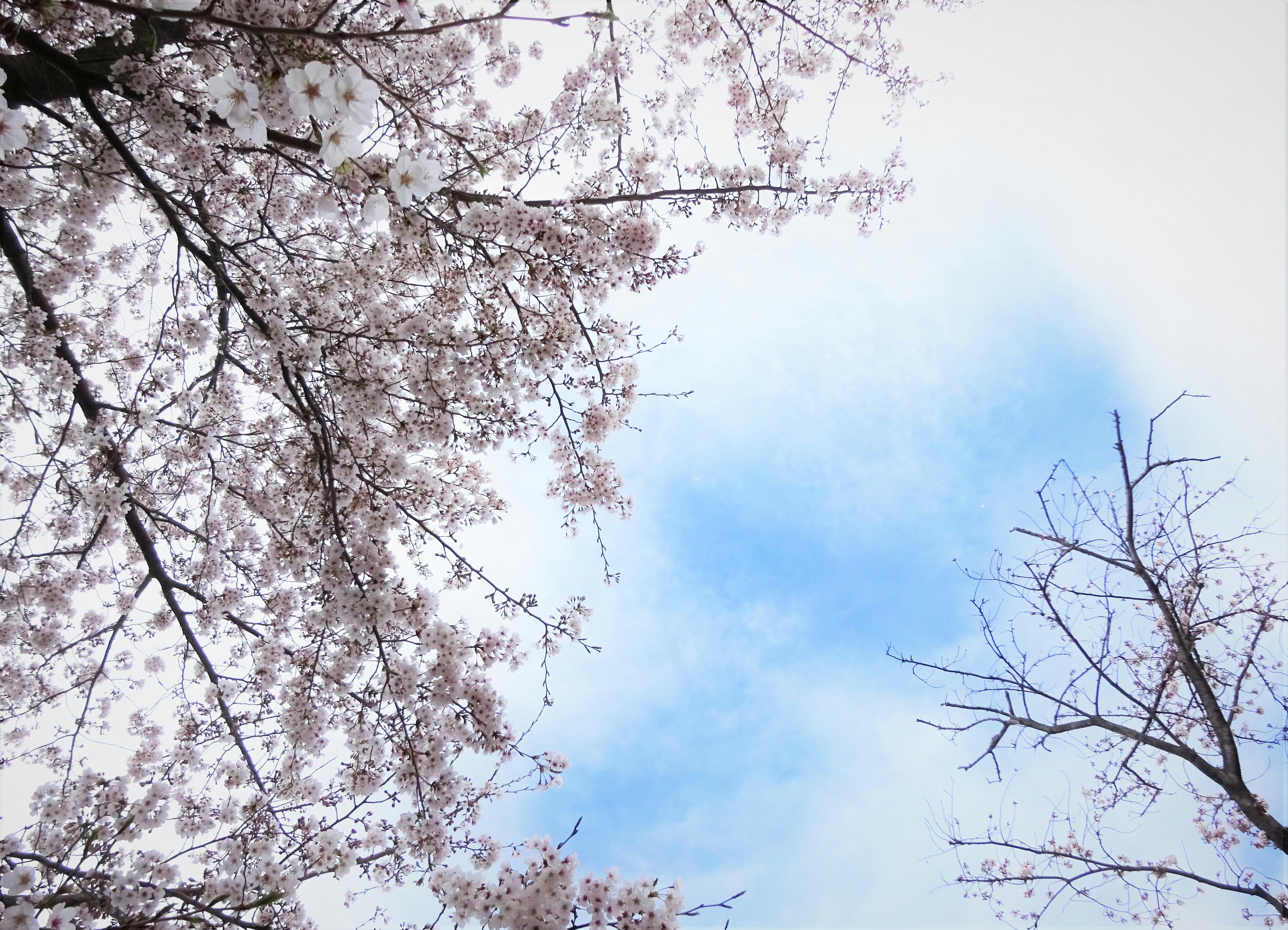 Photo by eriko_takahashi