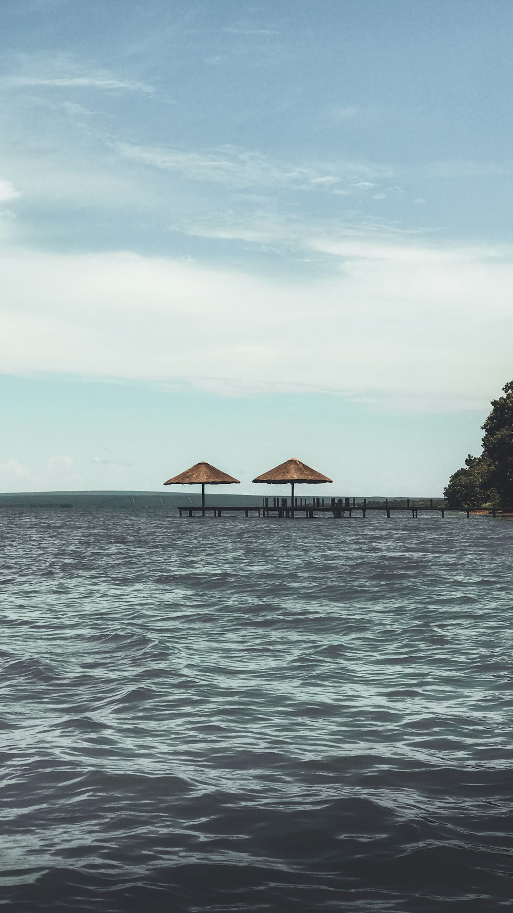 brown wooden house on body of water during daytime