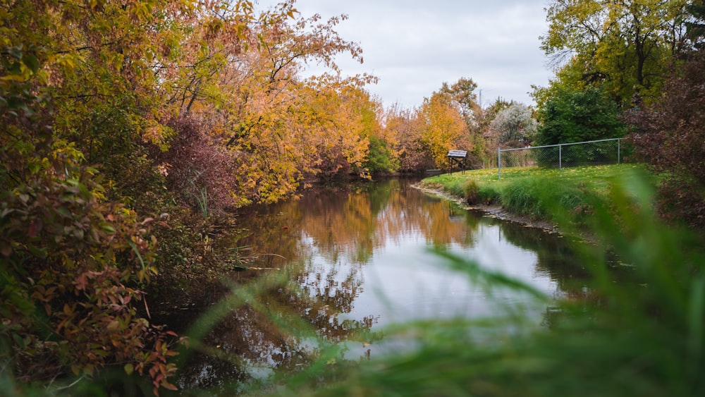 green and brown trees beside river under white clouds during daytime