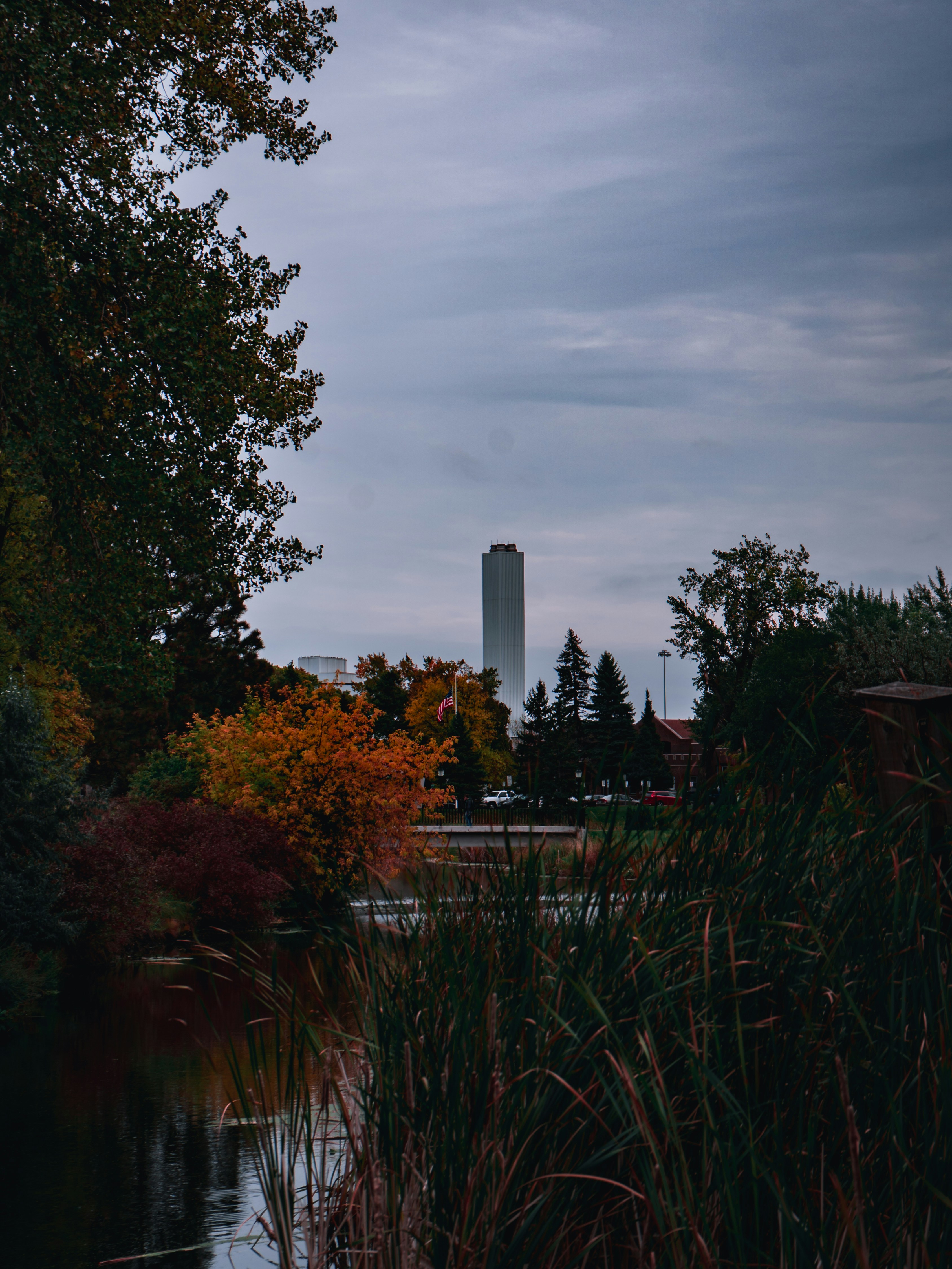 green trees under cloudy sky during daytime