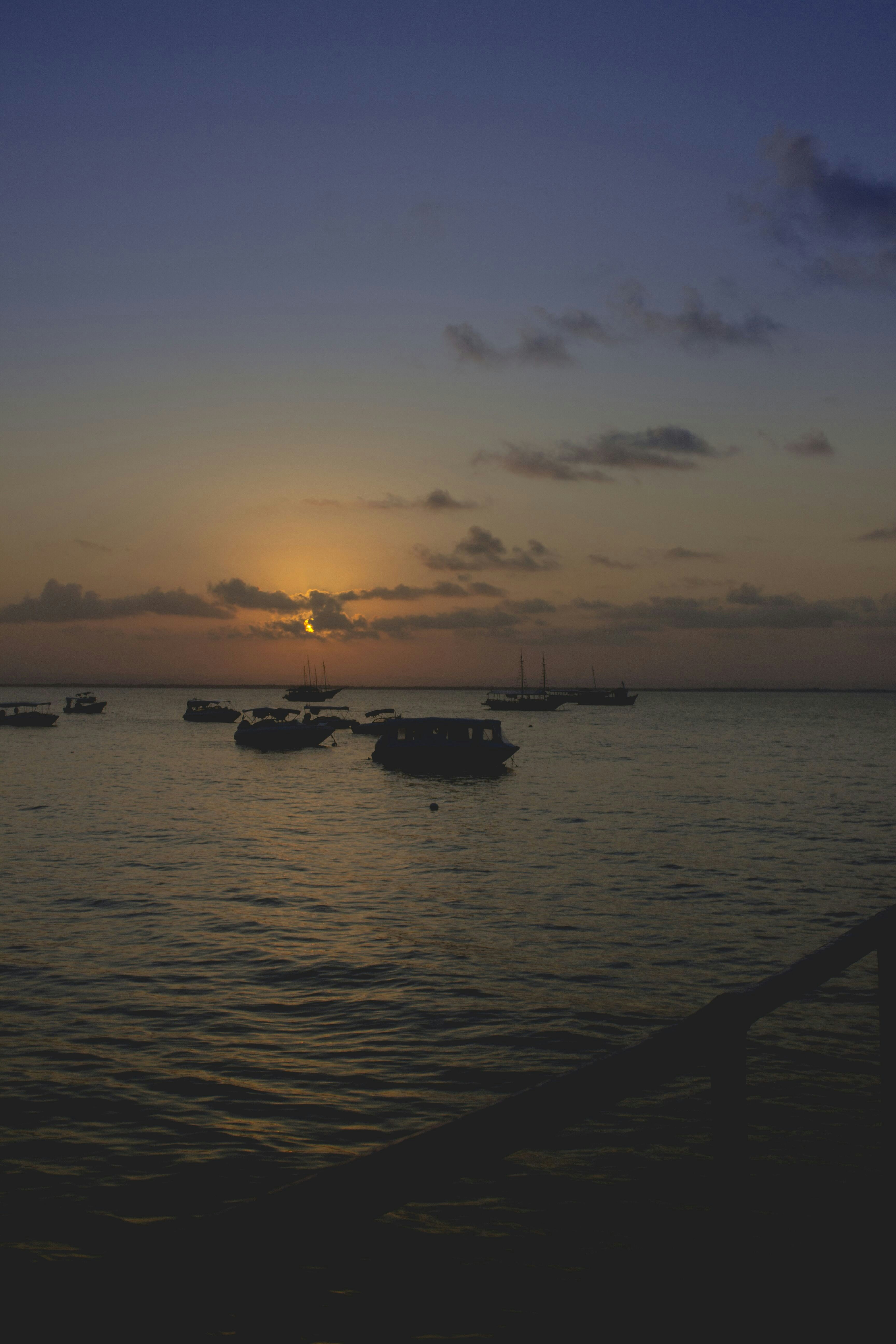Photo by pccarvalho