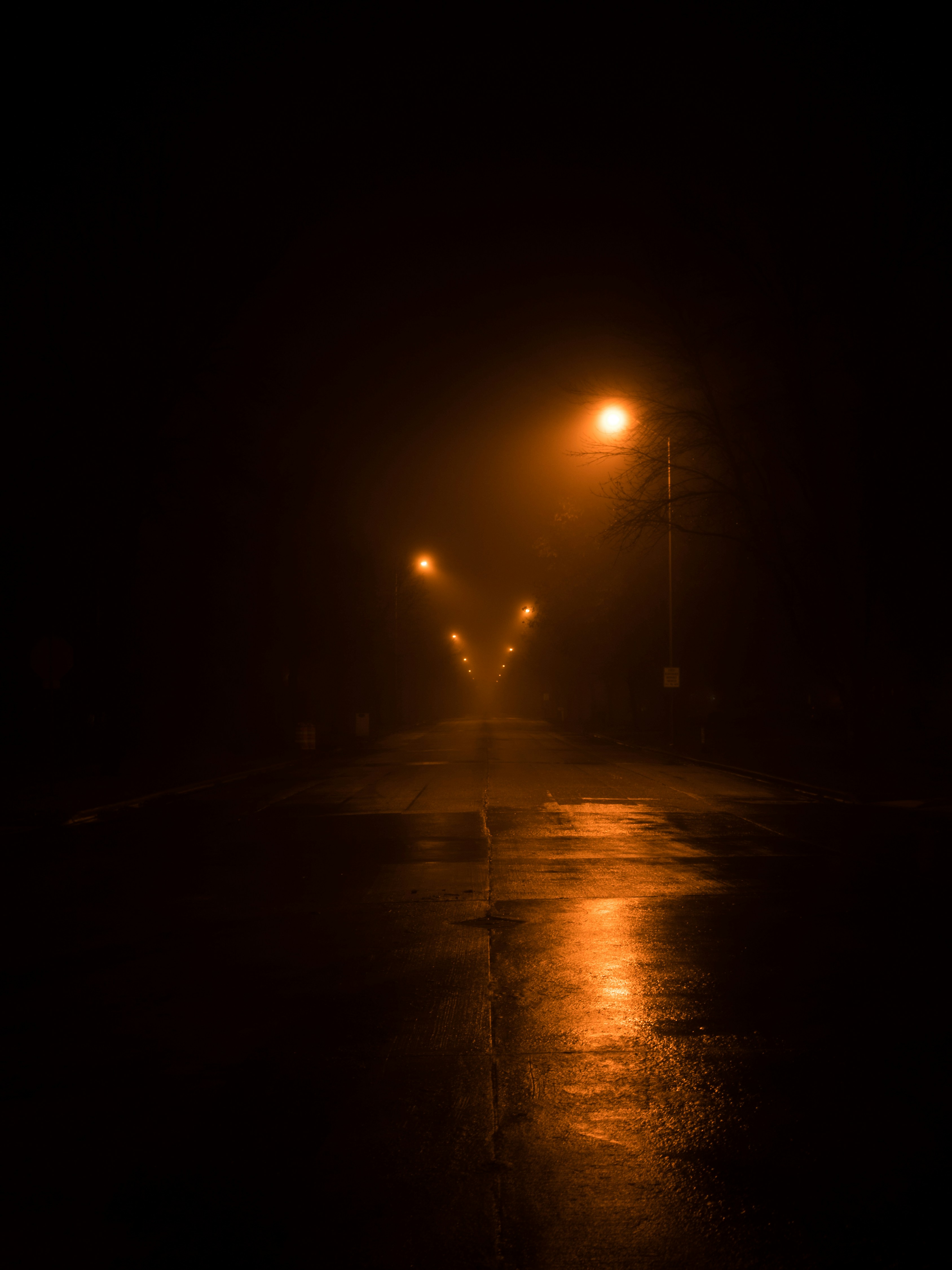 Photo by jasonbrojas