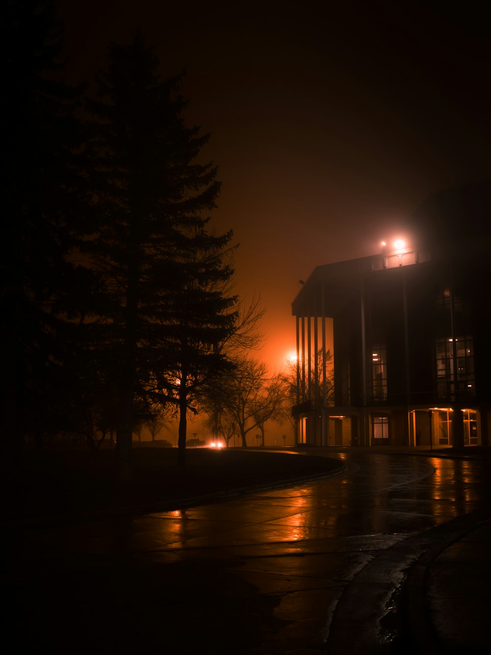 brown building near trees during night time