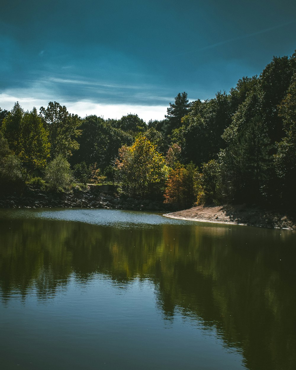 green trees beside river under blue sky during daytime