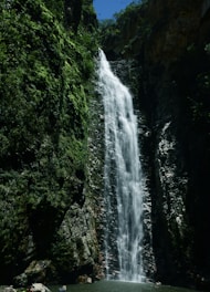 waterfalls in forest during daytime