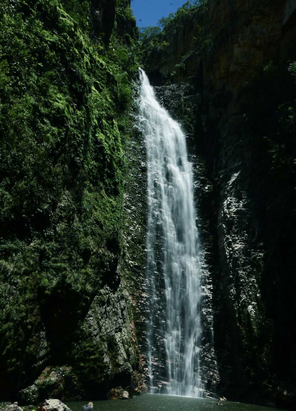 waterfalls in forest during daytime