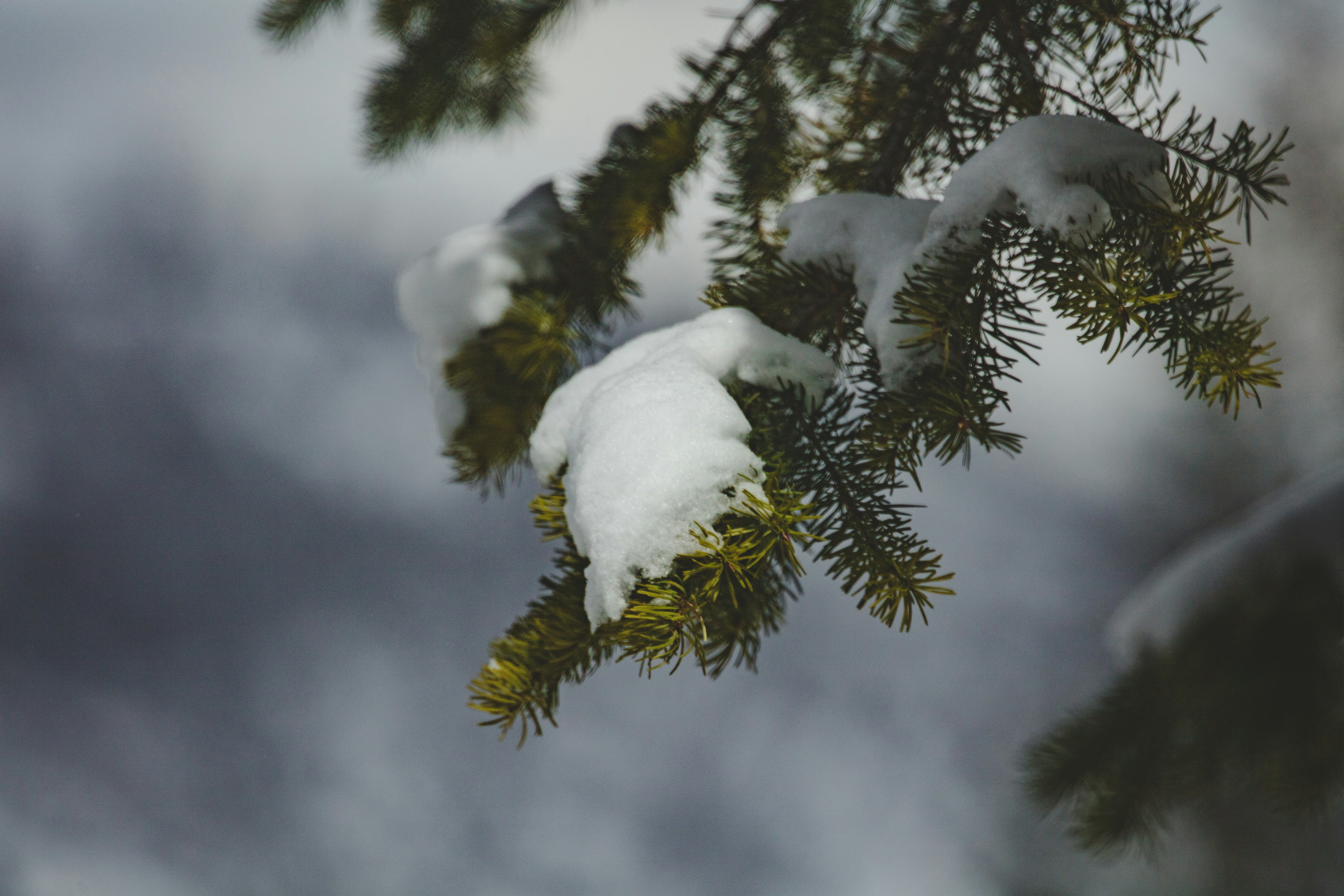 Photo by worldsbetweenlines