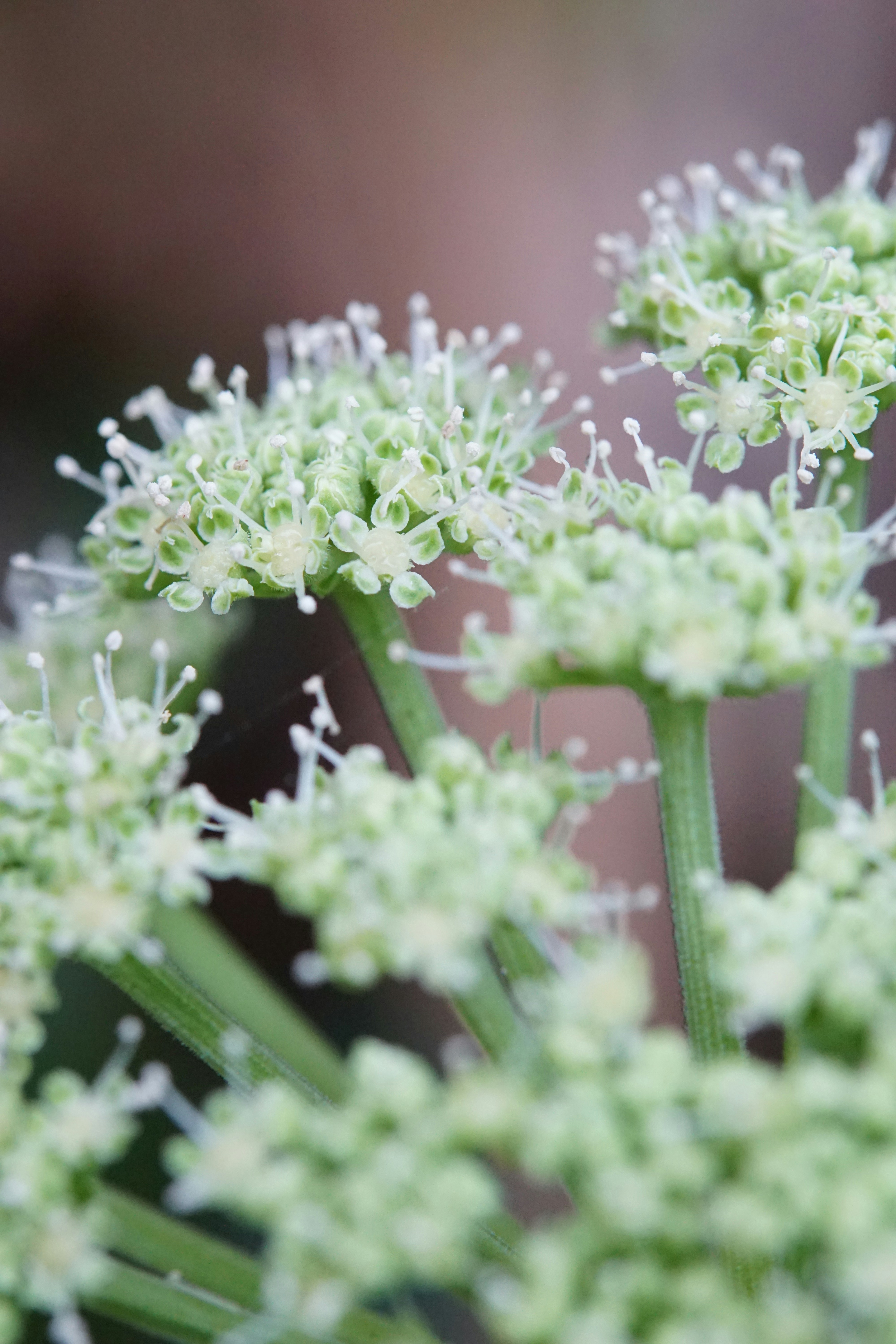 Photo by harbor_wildflowers