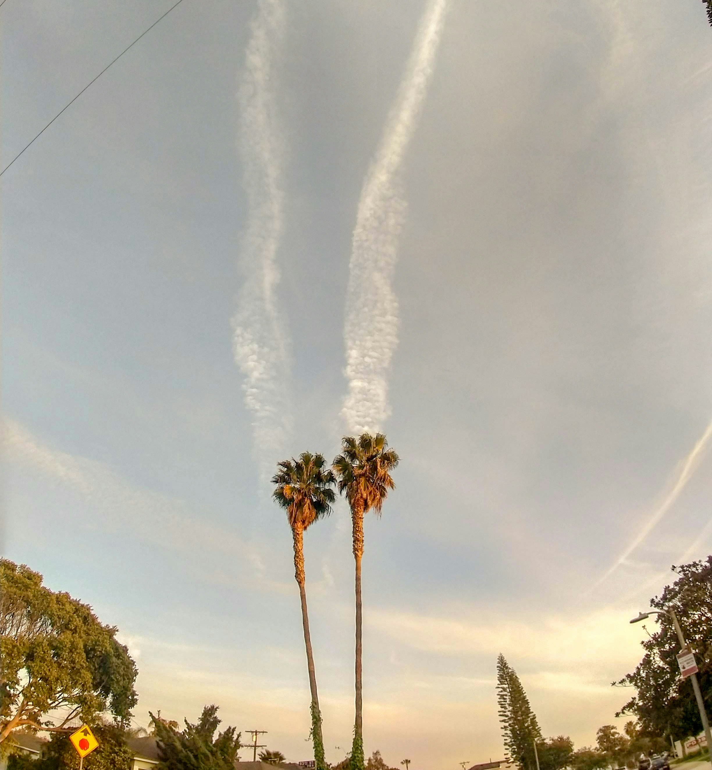 Clear and Supportive Guidance To Help Begin The Recovery Process | Compass | Alena Lehrer