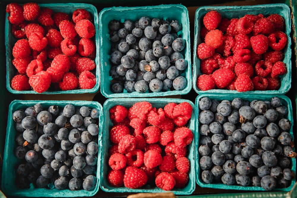 red and black berries in blue plastic crate