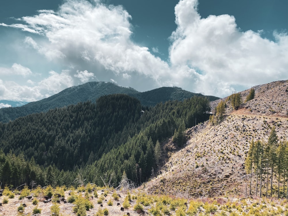 green and brown mountain under white clouds and blue sky during daytime