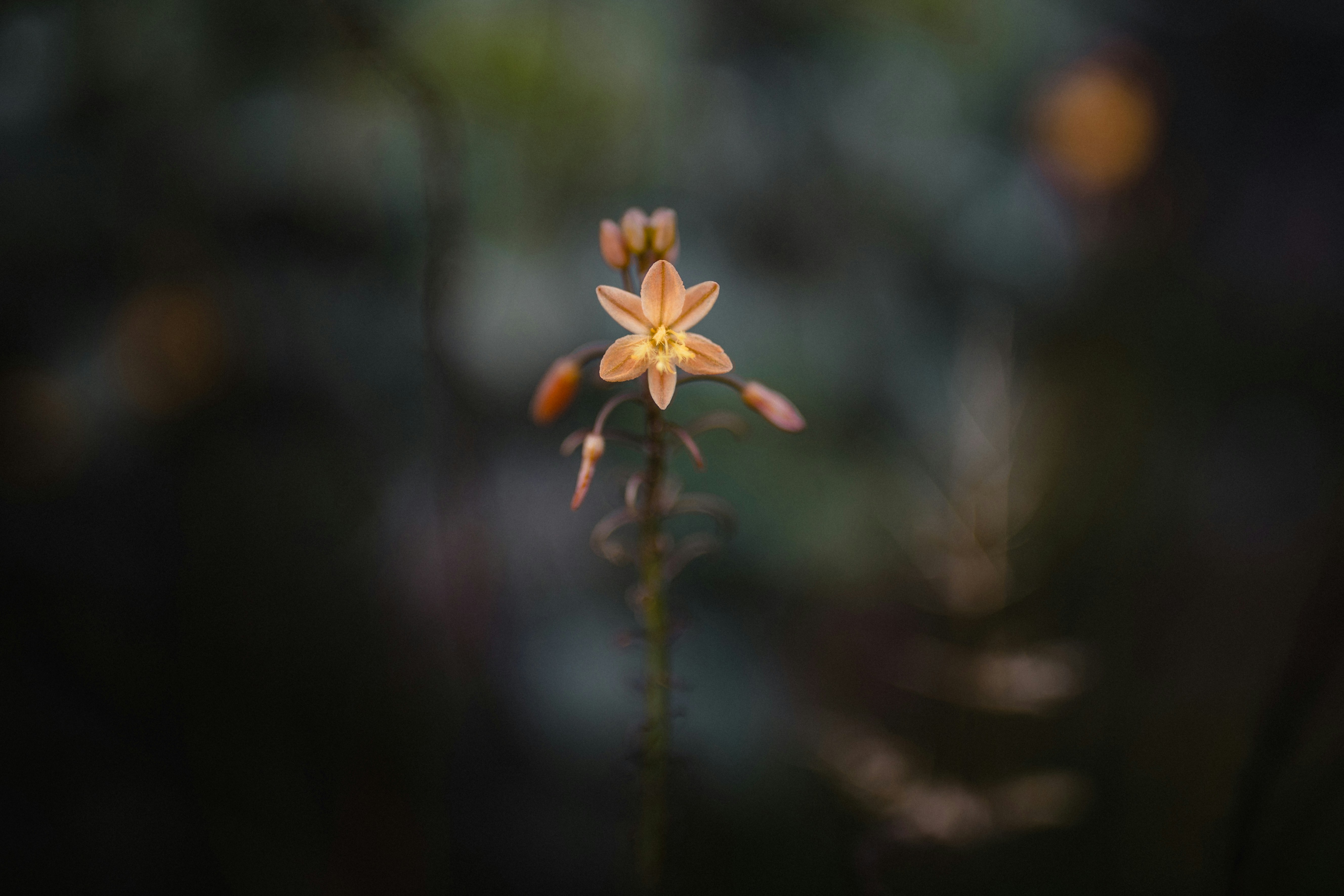 Photo by ninjason