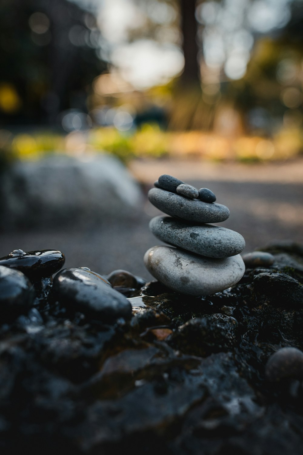 gray stones on brown soil