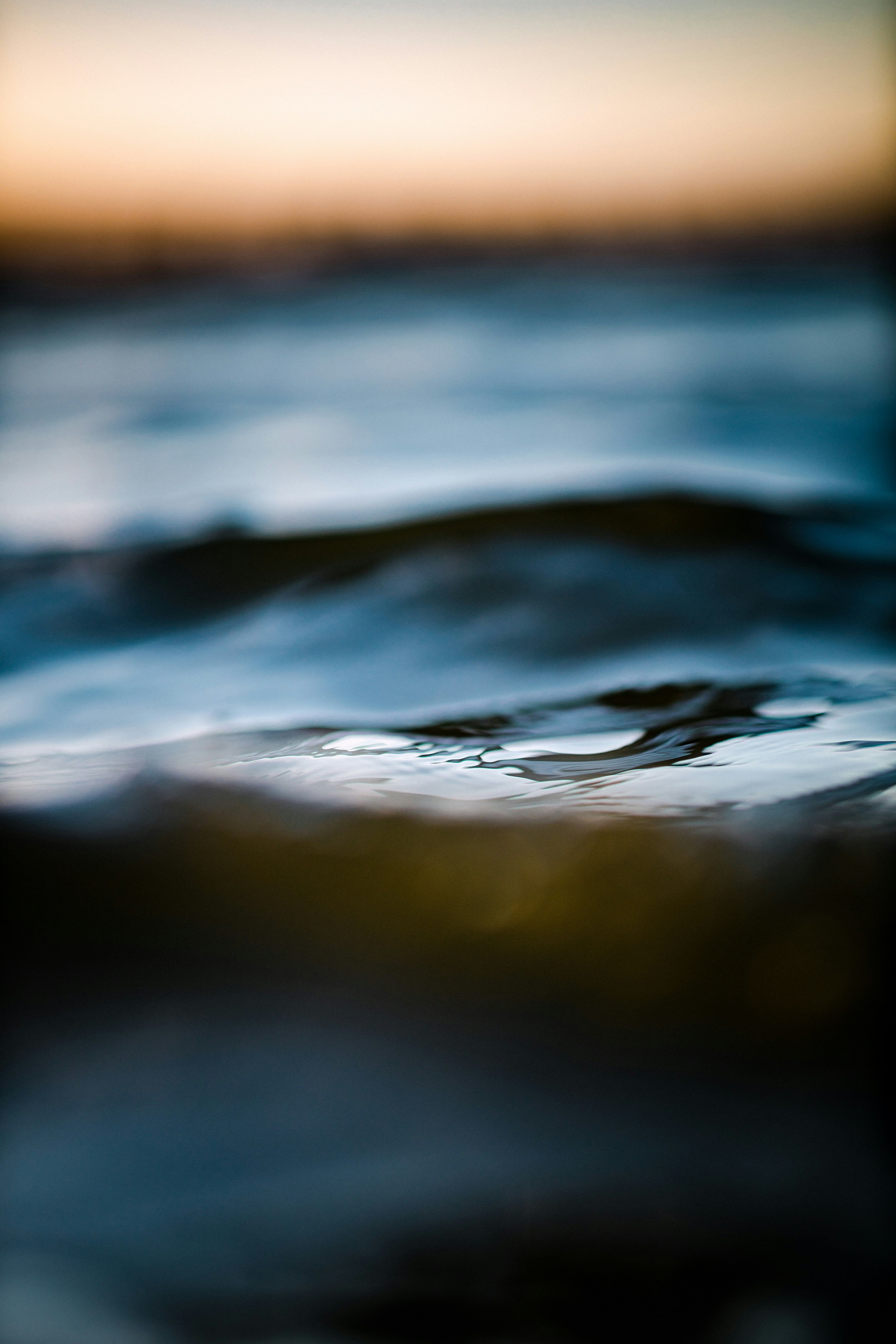 Photo by ninjason