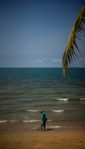 A person stands on a sandy beach near the water's edge, holding a metal detector. Gentle waves are visible, and a palm tree branch arches over the scene from the right.