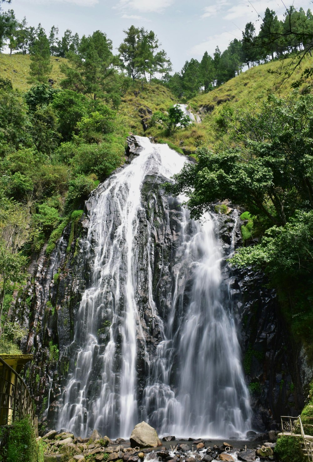 waterfalls in the middle of green trees