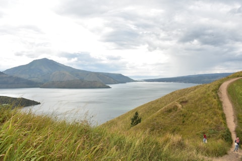green grass field near body of water under white clouds during daytime