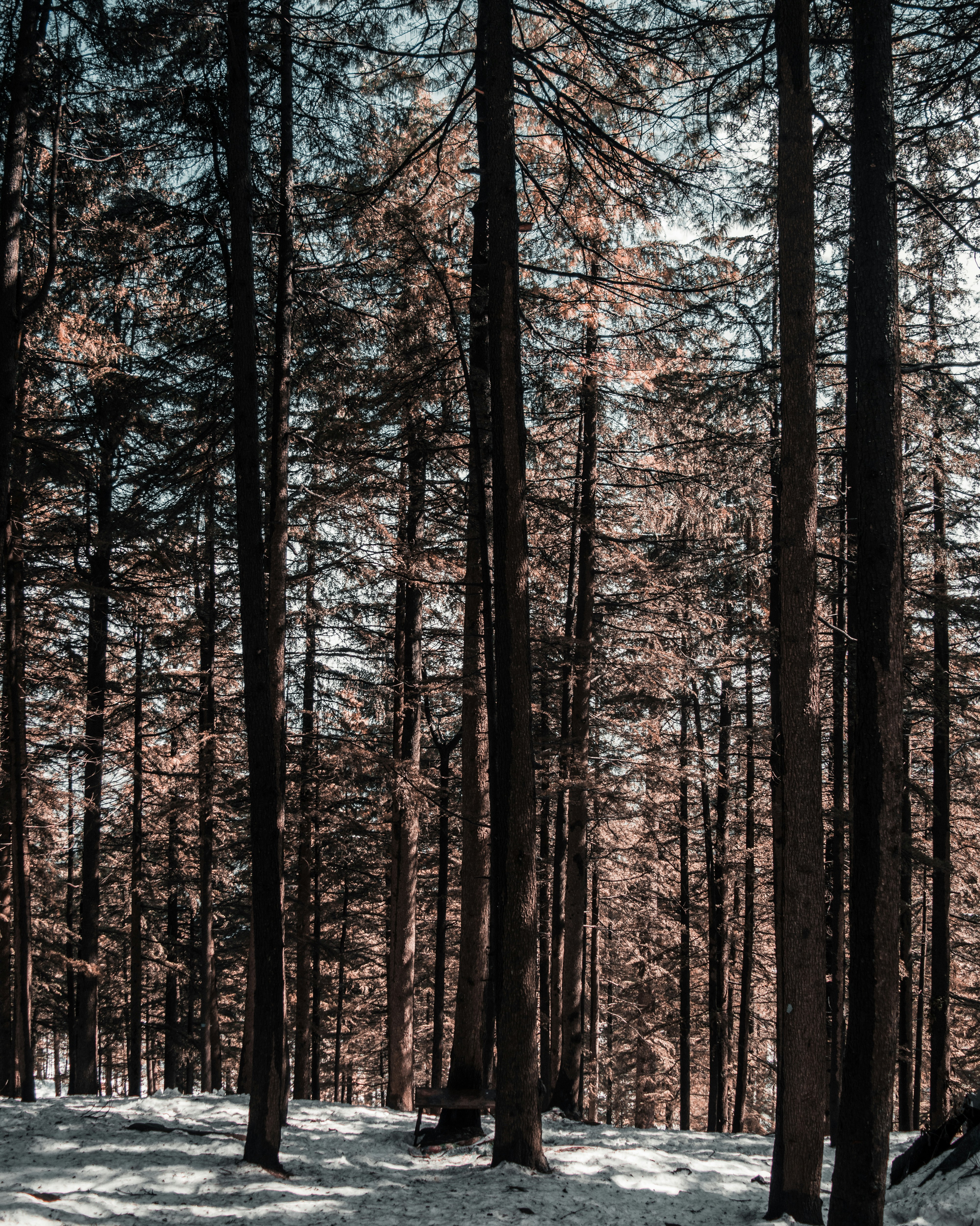 Photo by _abbashussain