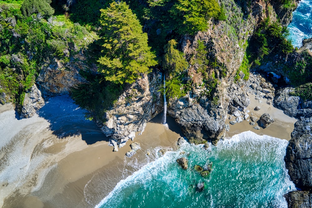 aerial view of green trees beside body of water during daytime