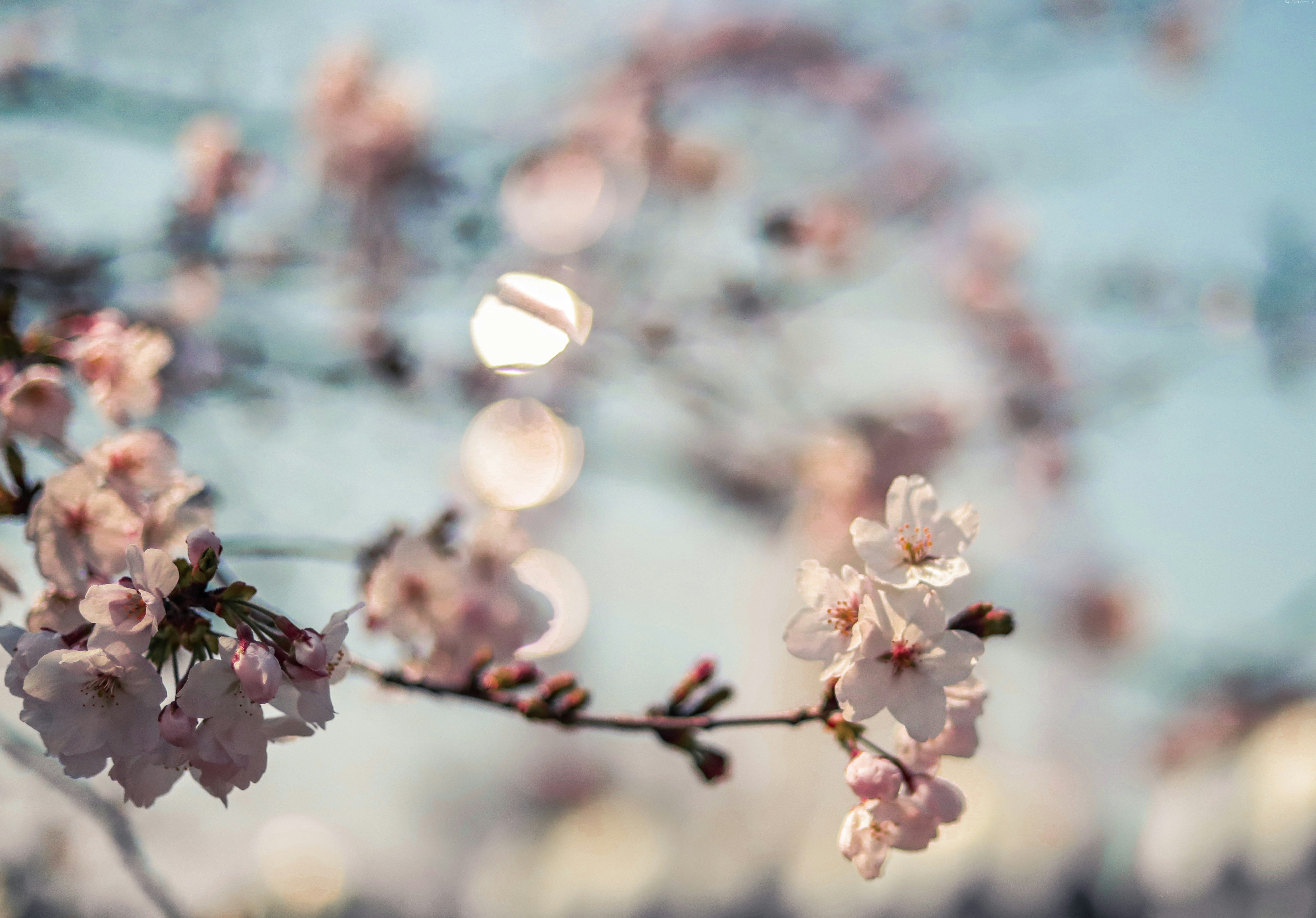 Photo by cplz99atcsnilyk