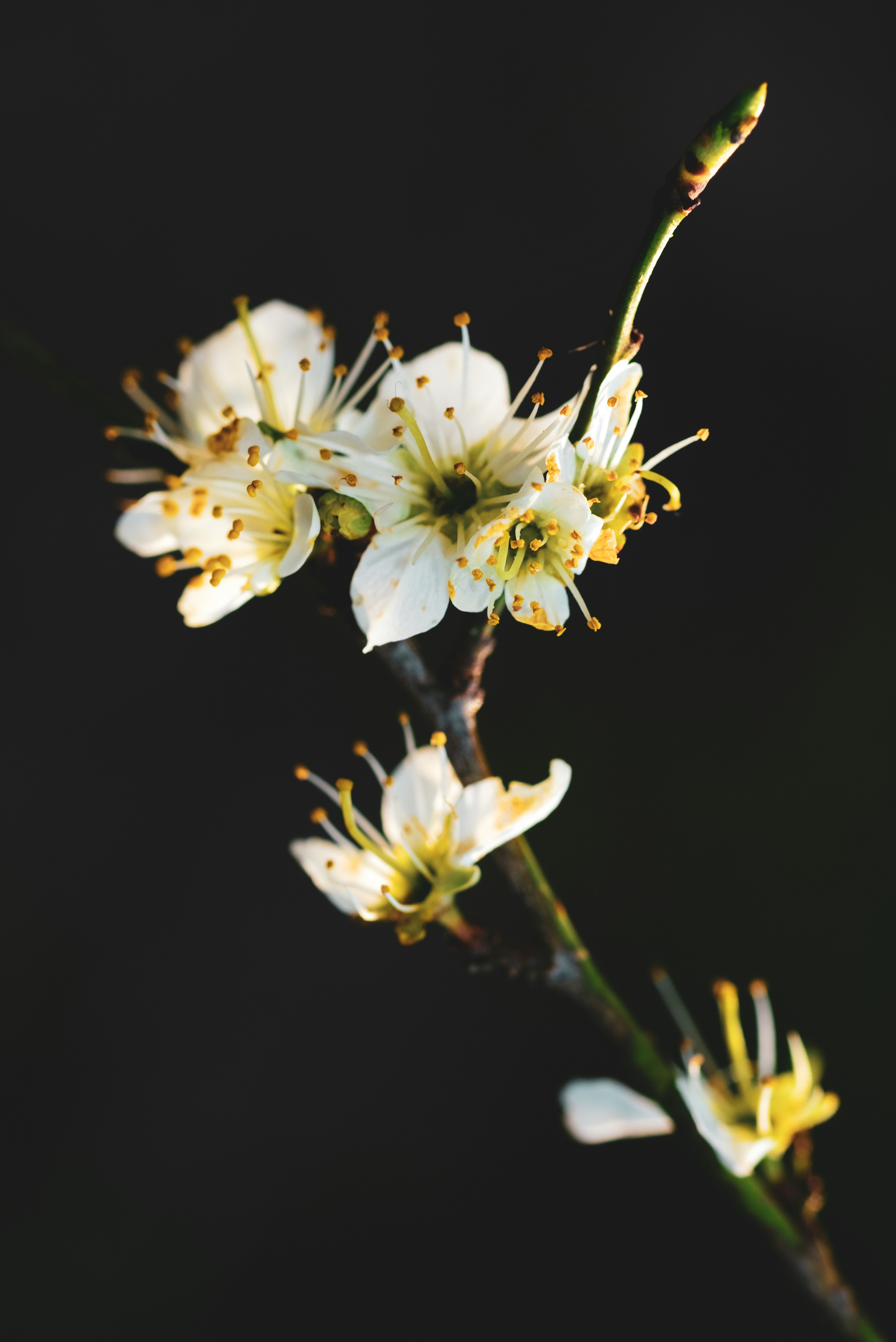 Photo by grievek1610begur