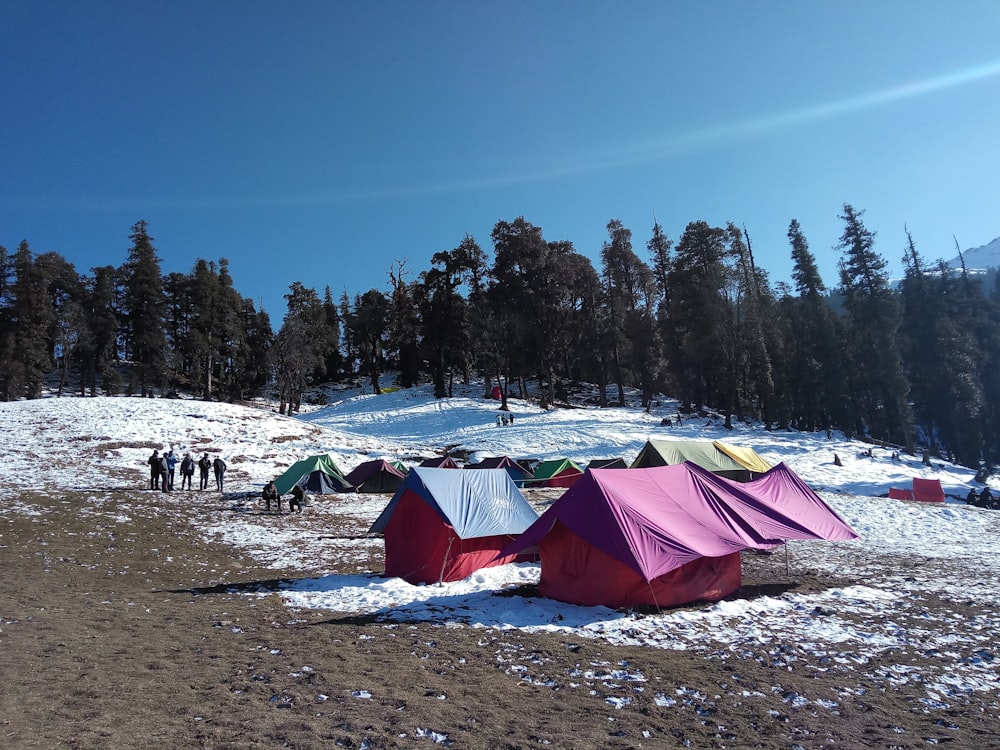 people standing near green and red tent on snow covered ground during daytime