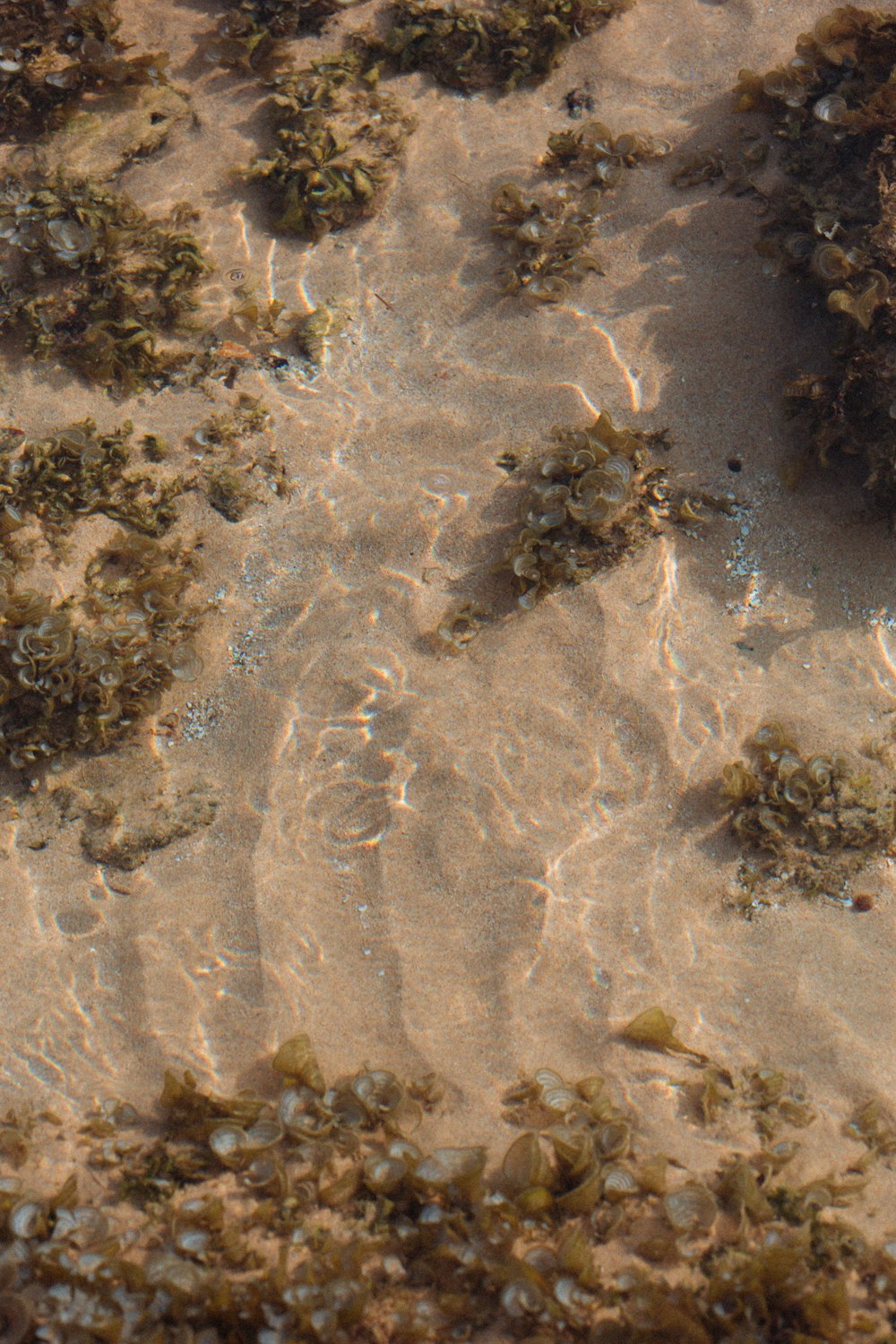 brown sand with water during daytime