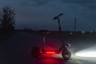 Sleek royal electra electric scooter parked on a city street at dusk.