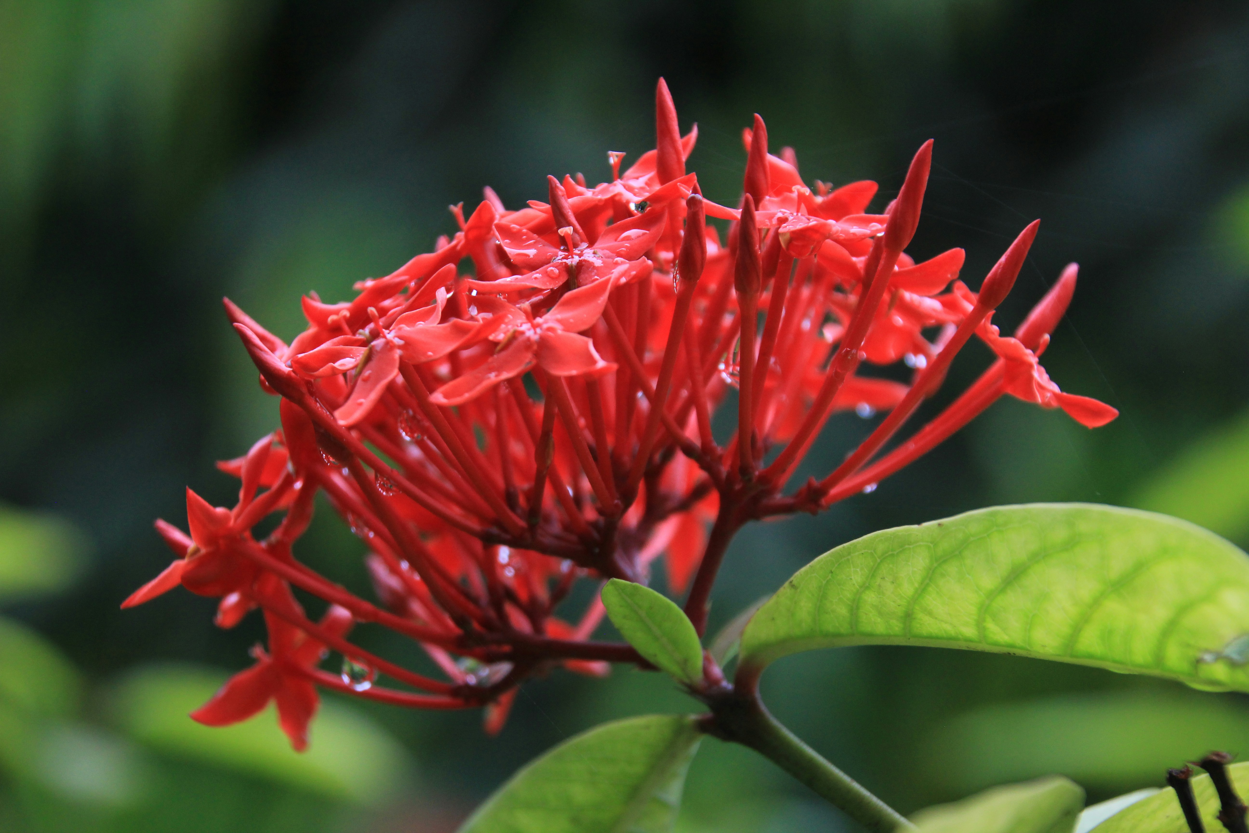 Photo by arjun_bendre