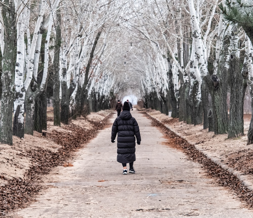 woman in black coat walking on pathway between bare trees during daytime