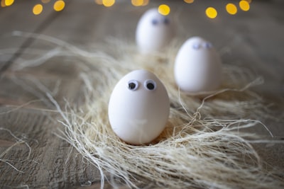 2 white eggs on white and brown nest easter egg zoom background